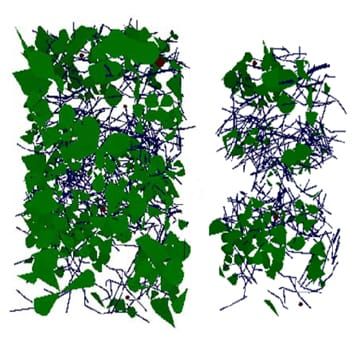 Simulating grazing of a 3-D sward canopy