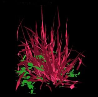 Turbid medium models and light in intercropping