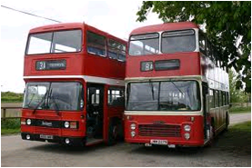 Two buses together tell how plants sense that oxygen is running low