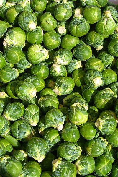 Brussels sprouts Image: Eric Hunt/Wikimedia Commons.