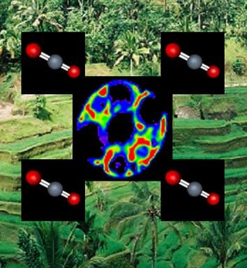 Calcium sensitivity and guard cells (Invited Review)