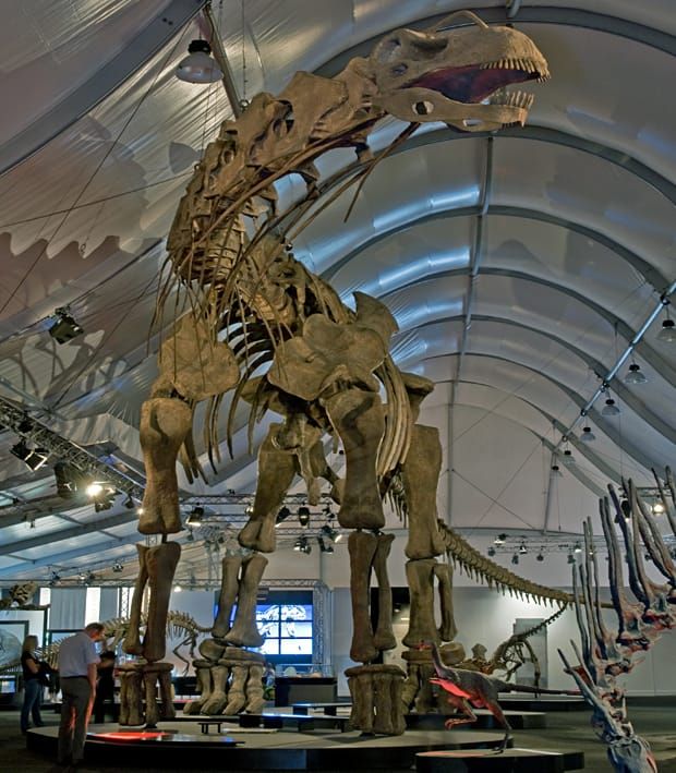 Image: Eva Kröcher/Wikimedia Commons.