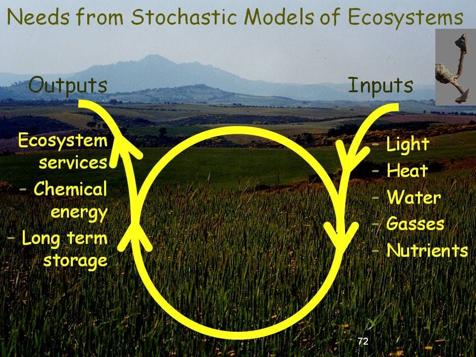 Modelling Of Ecosystems: the Cycle, Inputs and Ouputs