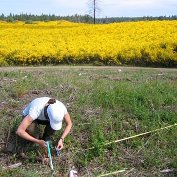 Functional traits and plant invasions (Invited Review)