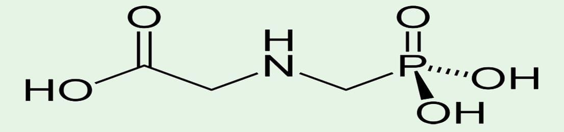 Image: Ben MillsWikimedia Commons.