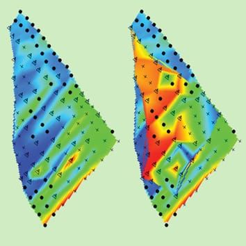The ecology of plant populations: their dynamics, interactions and evolution