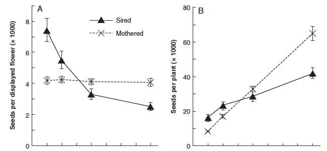 Graphs showing the success of various floral displays