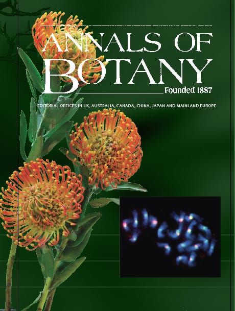 Leucospermum flowers in the family Proteaceae on the cover of Annals of Botany