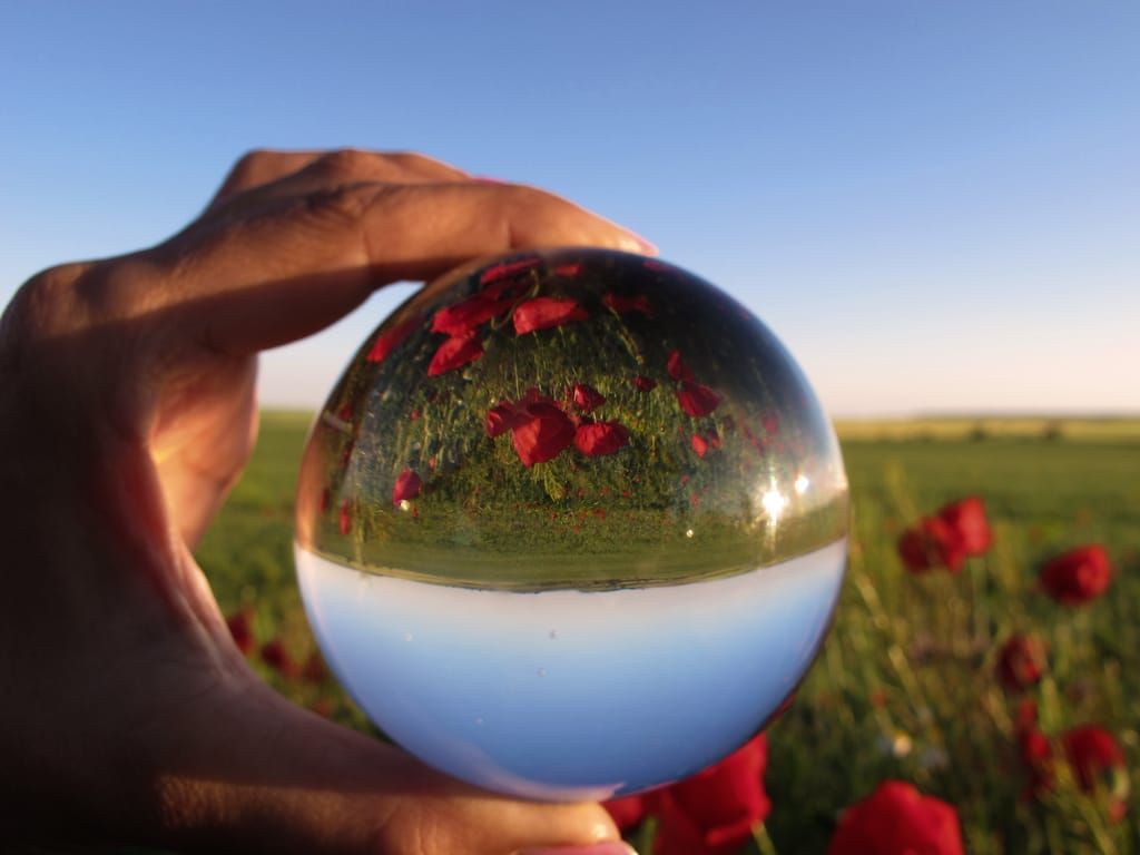 Poppies through a crystal ball
