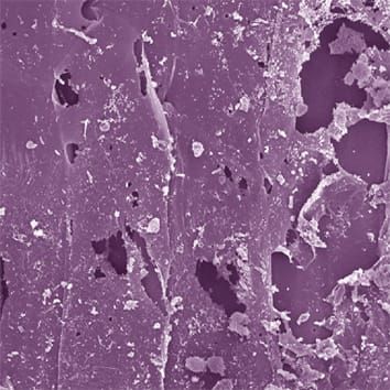 Anaerobic conditions and root iron plaques in rice