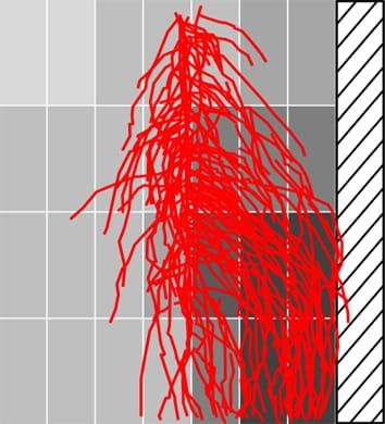 Hydrotropism and root-system development in arabidopsis