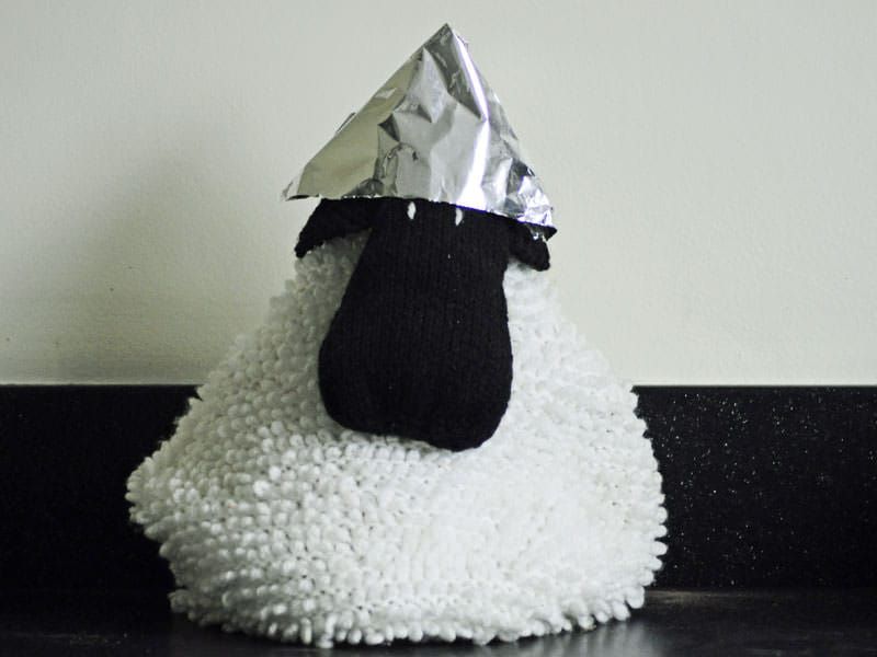 Sheep in a tin foil hat