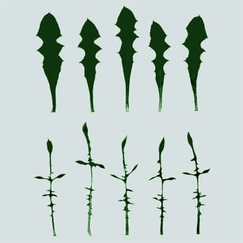 Mating system and adaptive potential for leaf morphology