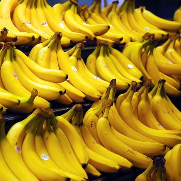 Image: Steve Hopson/Wikimedia Commons.