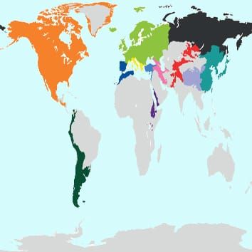 Phylogenetics, biogeography and trait evolution in tribe Arabideae