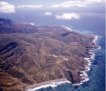 Genetic variation among mainland and island populations of a native perennial grass used in restoration