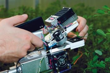 Giving drought the cold shoulder: A relationship between drought tolerance and fall dormancy in an agriculturally important crop