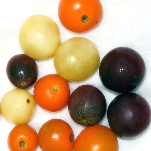 Image: Wikimedia Commons.