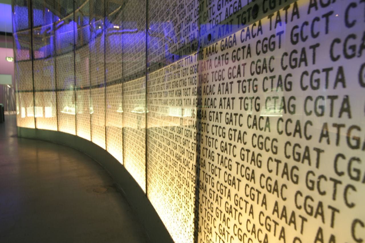 DNA on a wall