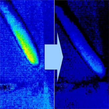 Continuous, high-resolution biospeckle imaging of roots