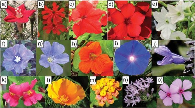 Some good stuff in the recent edition of CBE Life Sciences Education