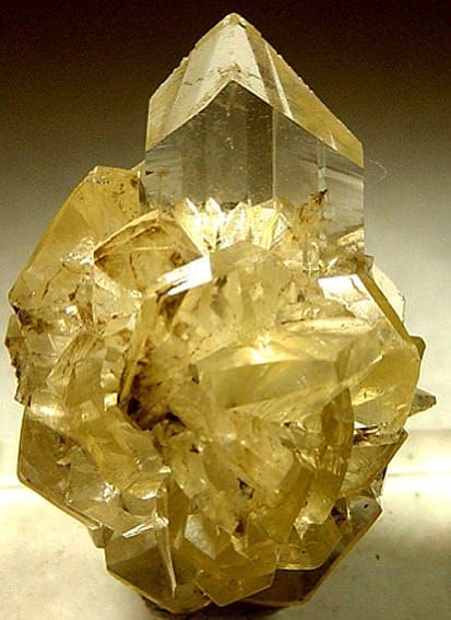 Golden gypsum crystals