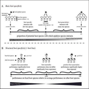 Host specificity in vascular epiphytes: a review of methodology, empirical evidence and potential mechanisms