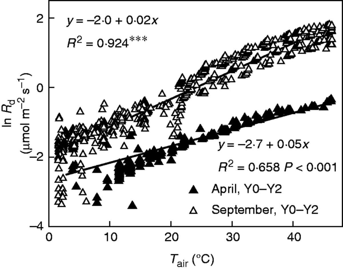 Temperature response of foliar daytime respiration rates (Rd) in Y0–Y2 needle cohorts during April and September 2013.