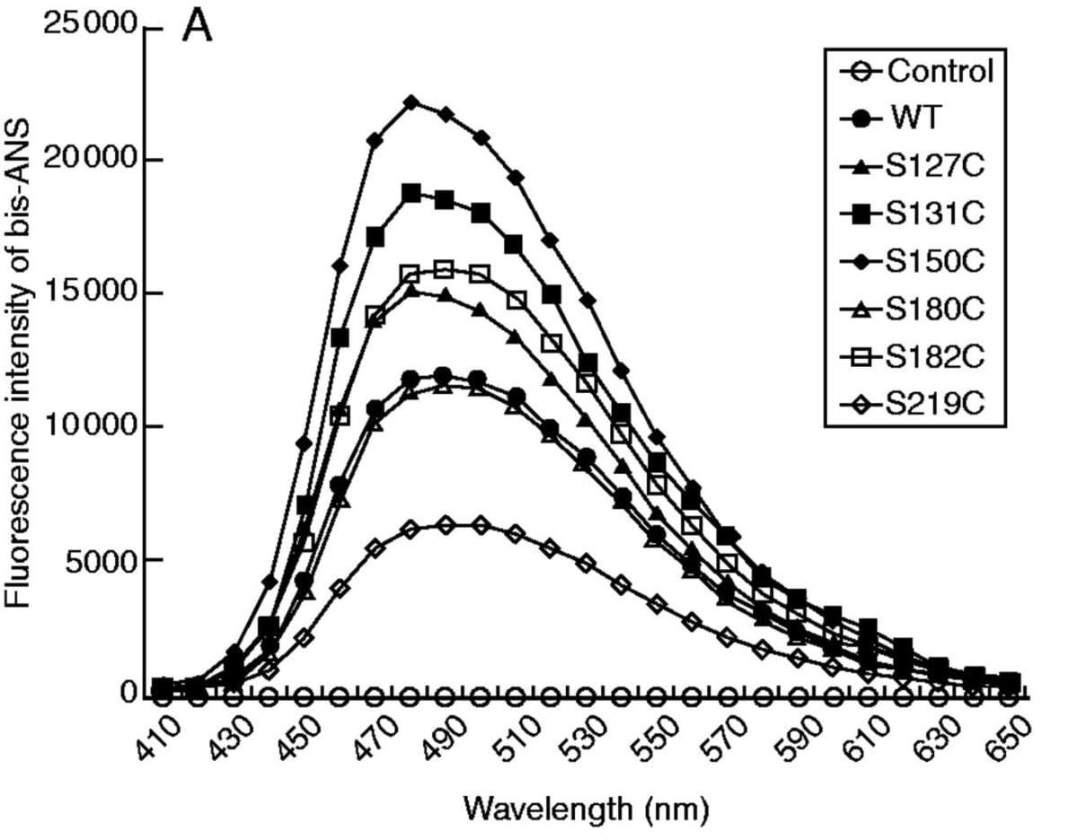 Changes in hydrophobicity of 2-Cys Prx A and its mutants presented in terms of the fluorescence intensity of bis-ANS.