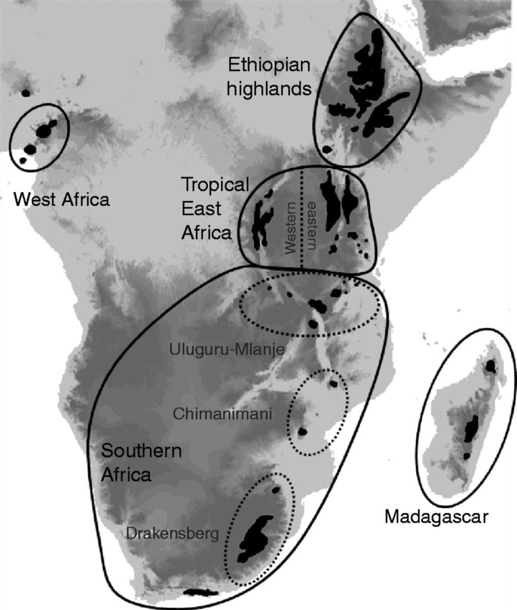 Distribution of Afrotemperate (Afromontane and Afroalpine) regions in Africa adapted from Gehrke and Linder (2014) based on W