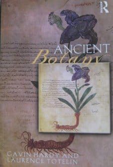 Tracing the roots – stems, leaves, fruits… – of modern botany