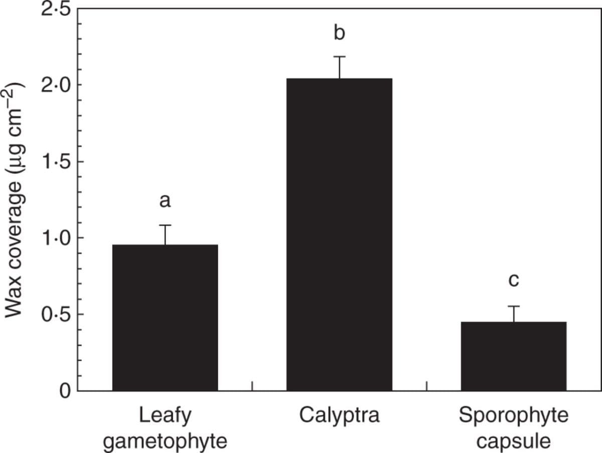 Wax coverage on three major structures of Funaria hygrometrica.