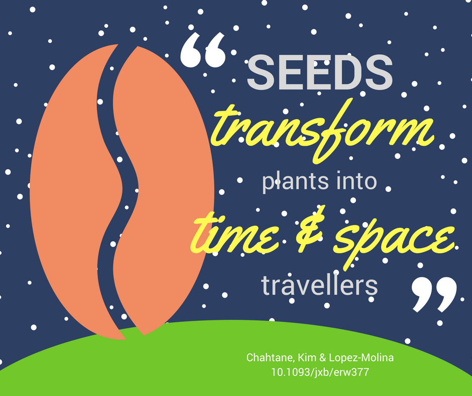Seeds transform plants into time and space travellers...
