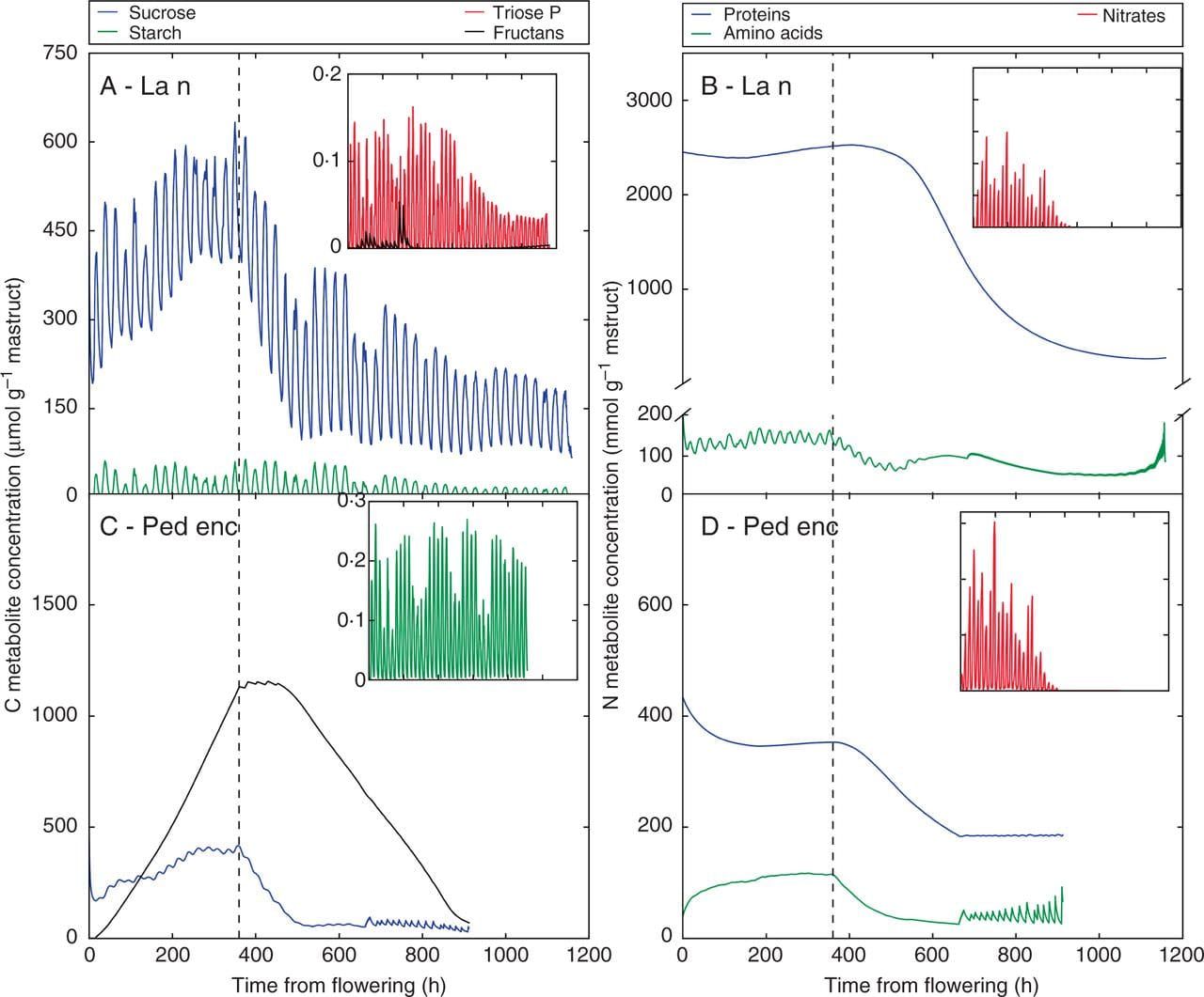Detailed metabolite concentrations for C (left panels) and N (right panels) for two examples of photosynthetic organs