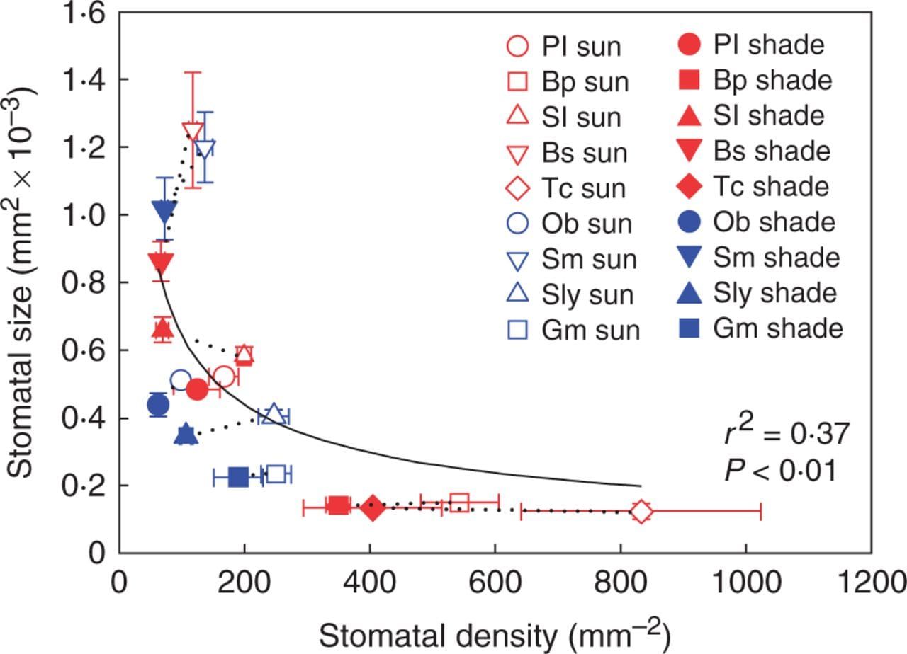 Mean stomatal size and stomatal density ± s.d. across species