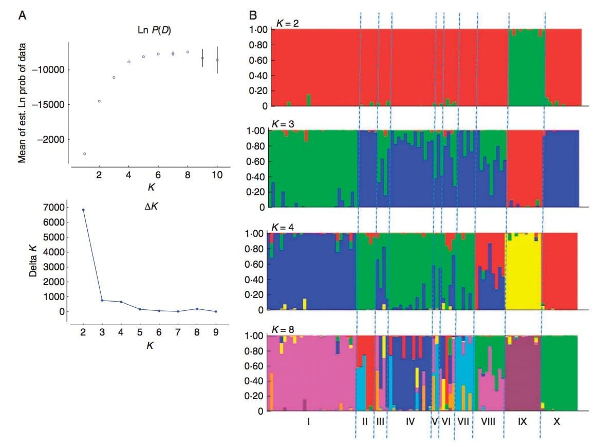 Results obtained from STRUCTURE for the analysis of the full wild sample (94 individuals)