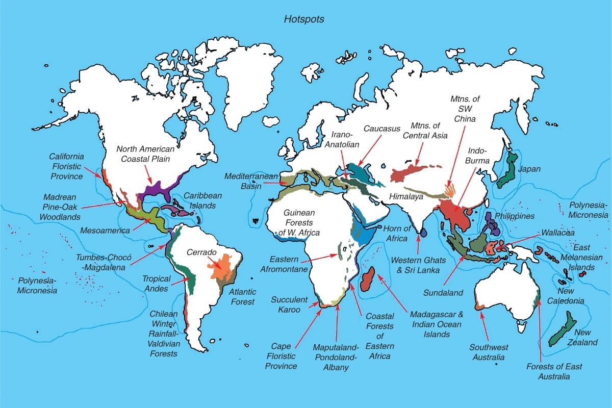 Currently recognized global hotspots of plant endemism, which are defined as having >1500 endemic plant species and >70 % hab