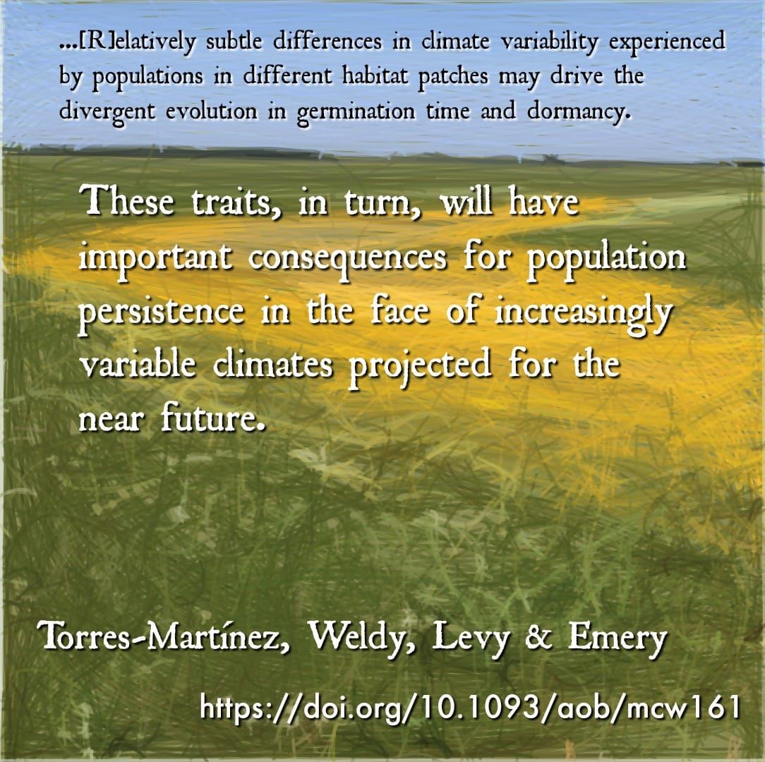 Population variation in germination strategies in an edaphic specialist