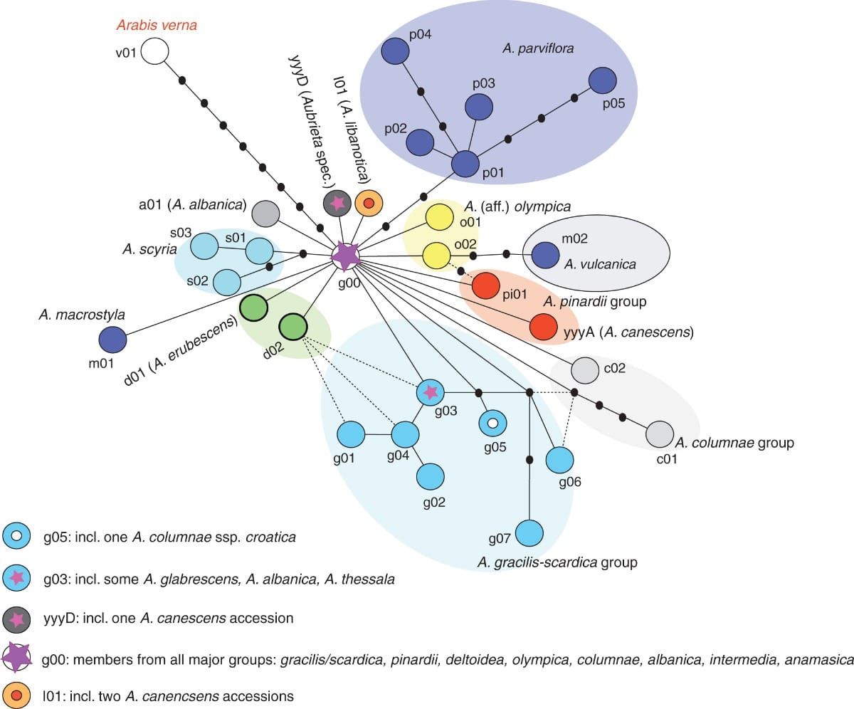 TCS network of nuclear-encoded ITS types.