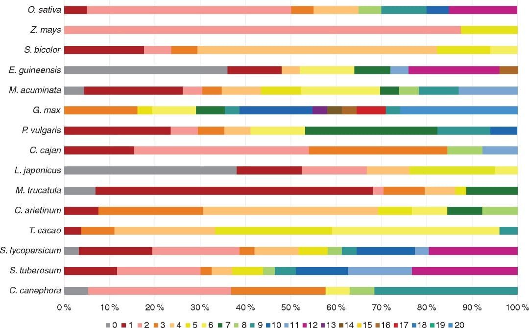 Chromosomal distribution of NLL genes across different species.