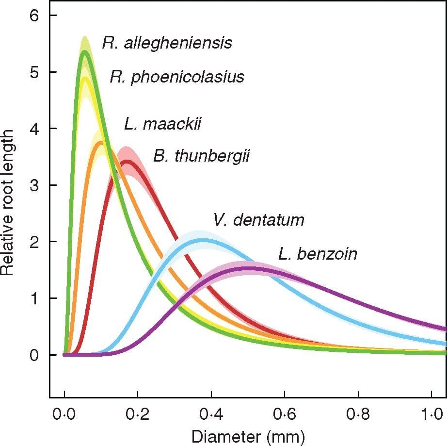 Distributions of fine root diameter, computed on the basis of length, for the species included in the study