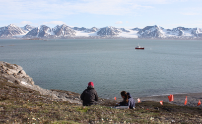 Plant conservation genetics in an Arctic archipelago