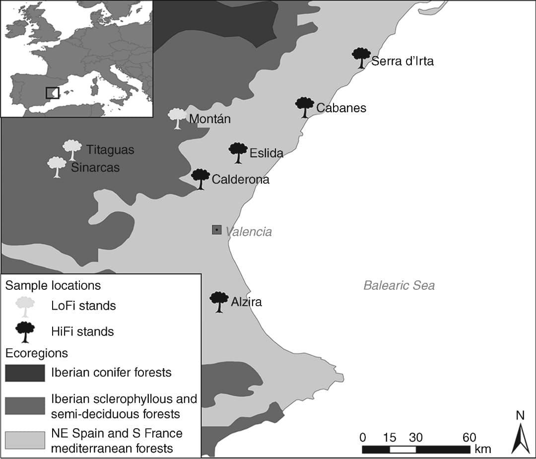 Study stands of Pinus halepensis in the Eastern Iberian Peninsula belong to different ecoregions.