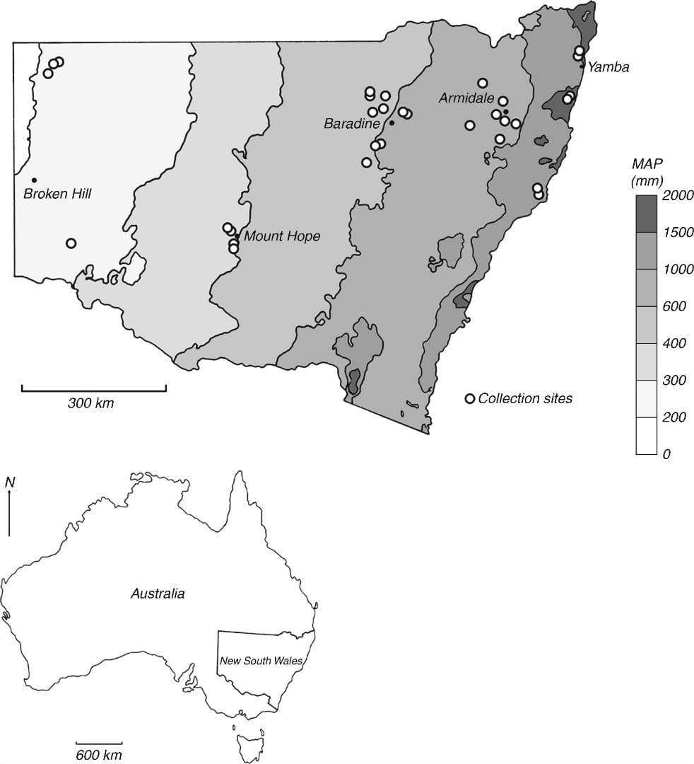 Mean annual precipitation (MAP) (mm) map of New South Wales, Australia with collection sites (open circles) (modified from Bu