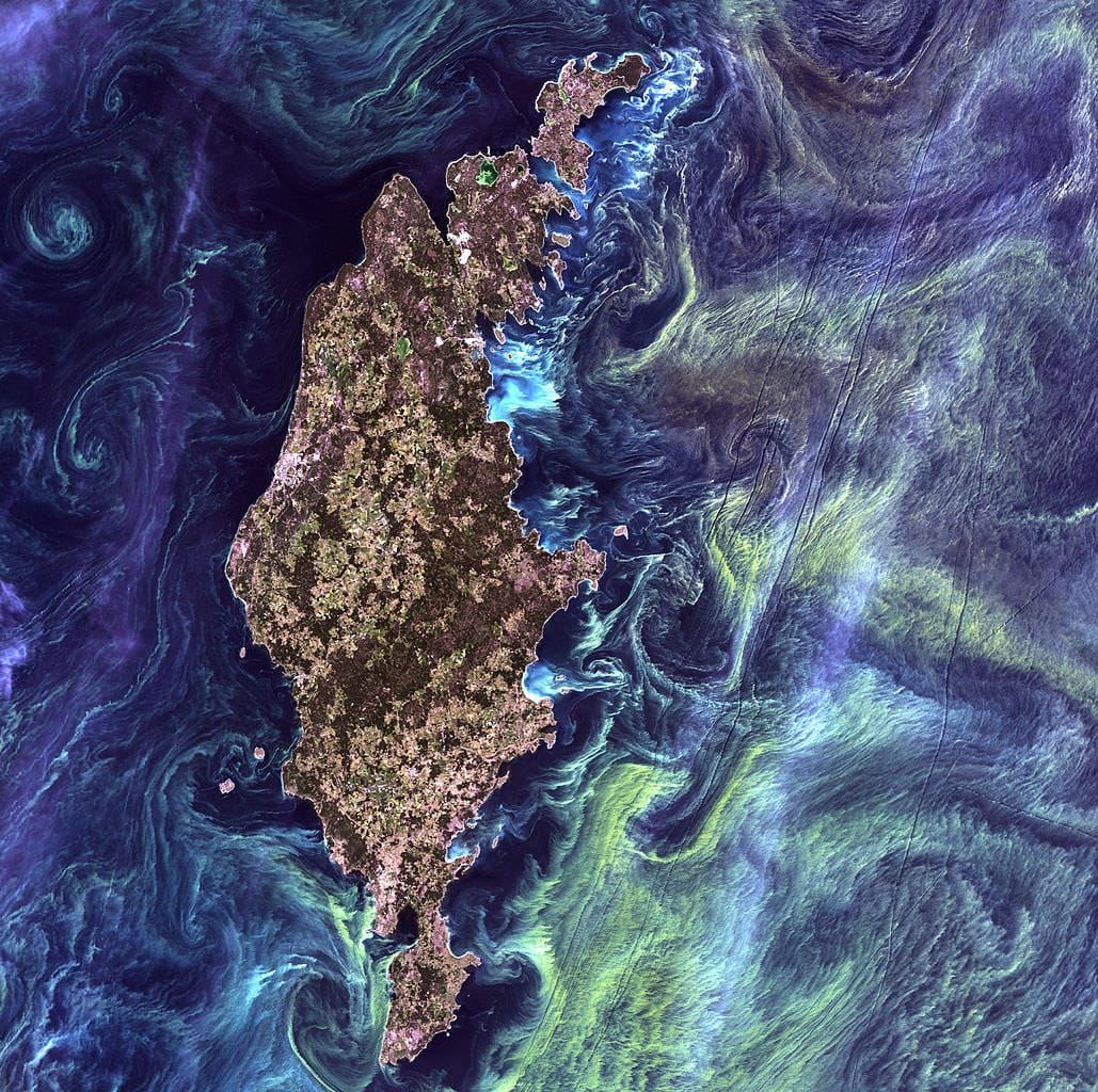 massive congregations of greenish phytoplankton swirl in the dark water around Gotland