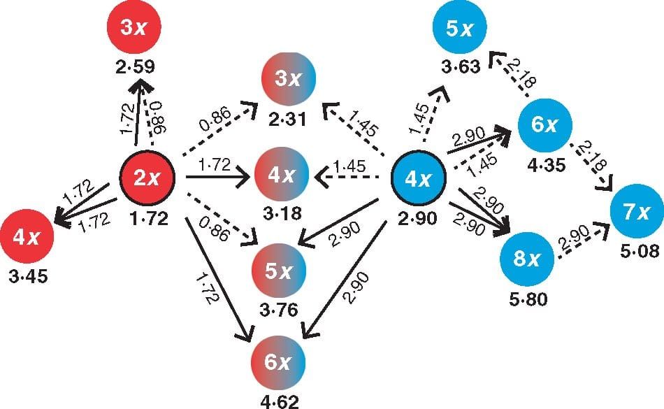 A theoretical overview of crosses involving reduced (dashed arrows) and unreduced (solid arrows) gametes of diploid (red with