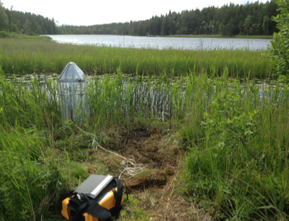 Methane emissions from emergent aquatic macrophytes