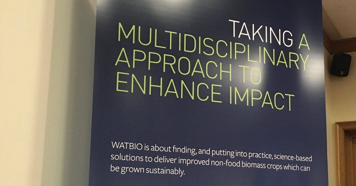 Predictive modelling for yield – bringing genotype and phenotype together