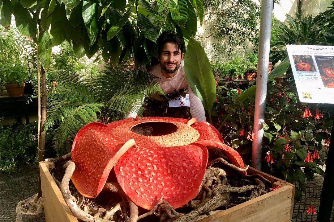 Dr Chris Thorogood and his 3D oil-painting of Rafflesia arnoldii.