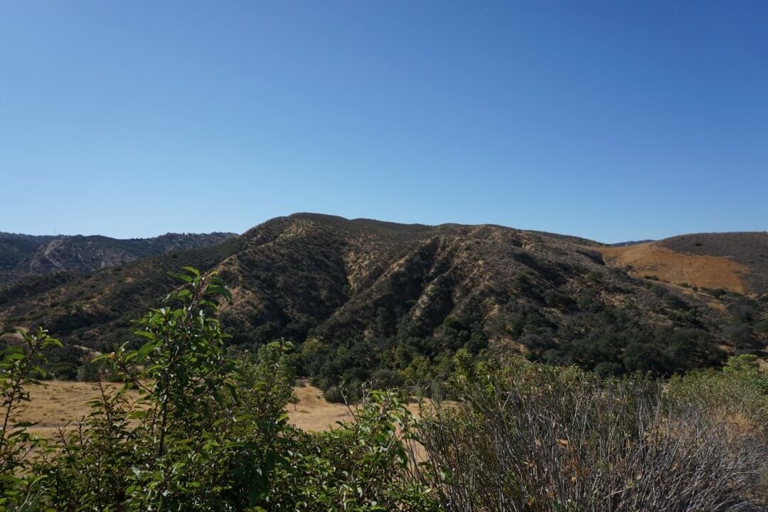 Communicating Science and Scicomm career advice from Sci Comm Camp